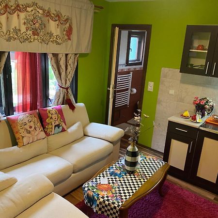 Villa Miris Dunja ズラティボール エクステリア 写真